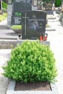 Grab Rosa und Franz Wasserburger, St. Aegyd am Neuwalde