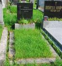 Grab der Familien Wasserburger und Riehs am Wiener Zentralfriedhof